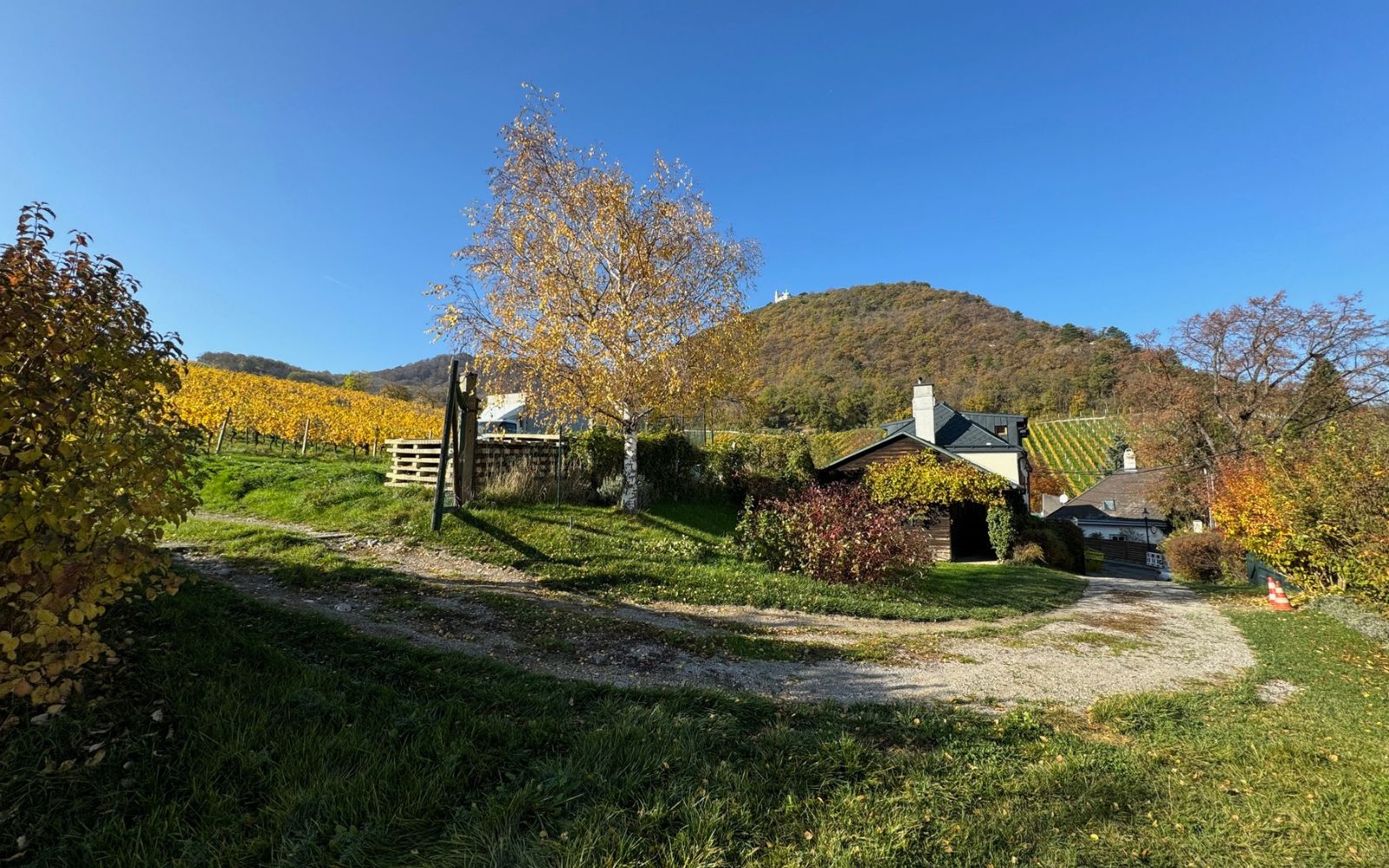 Von Foest Immobilien - RESIDIEREN AM FREIHOF im Herzen der Weinberge - VON_FOEST_IMMOBILIEN_KAUFEN_VERKAUFEN_WIEN_1190_LUXUSIMMOBILIEN_GRINZING_DOEBLING_FREIHOF_ALTBAUWOHNUNG_4.jpg